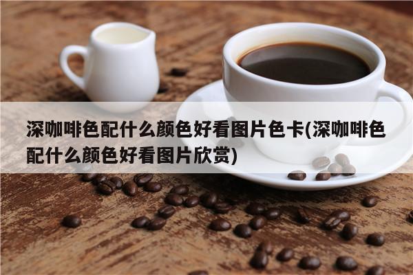 深咖啡色配什么顏色好看圖片色卡(深咖啡色配什么顏色好看圖片欣賞)