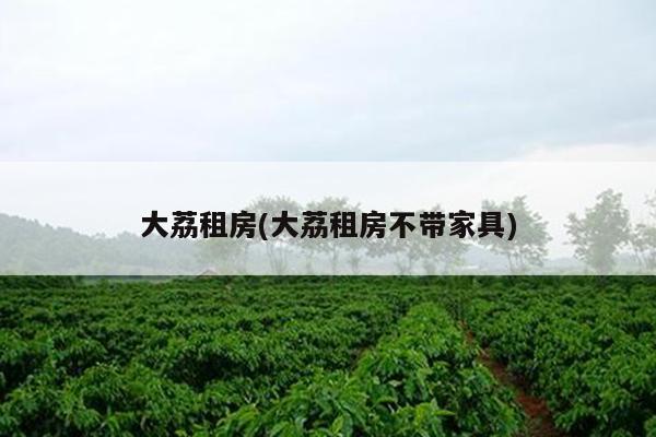 大荔租房(大荔租房不帶家具)