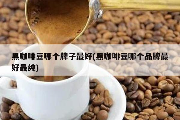 黑咖啡豆哪個(gè)牌子最好(黑咖啡豆哪個(gè)品牌最好最純)