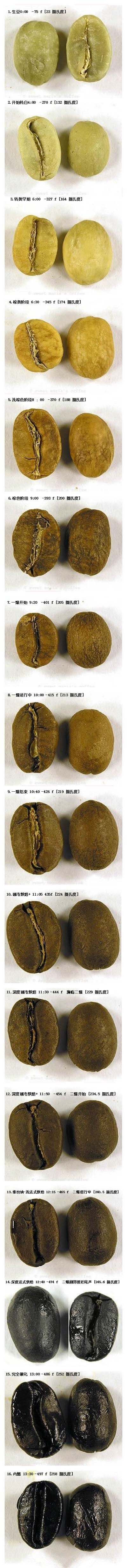 生豆在烘焙過程中的變化